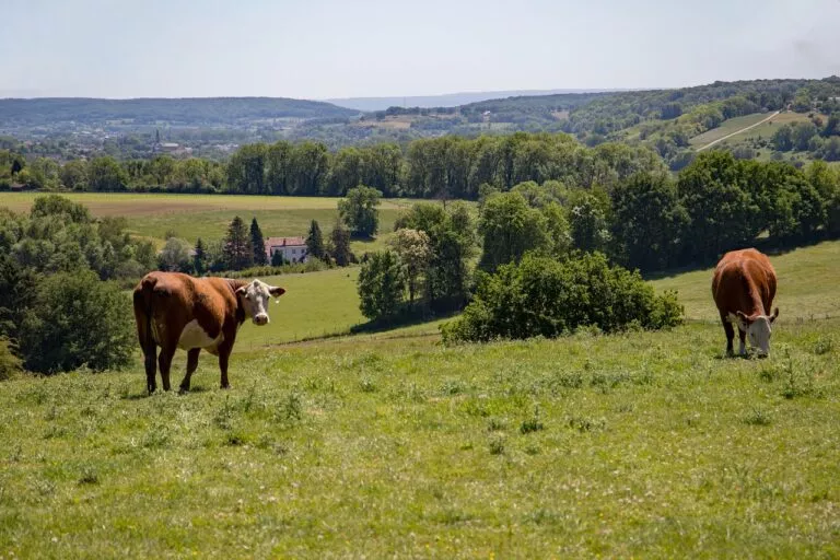 Kleinschalig vakantiepark in Limburg. Echt weg van de drukte