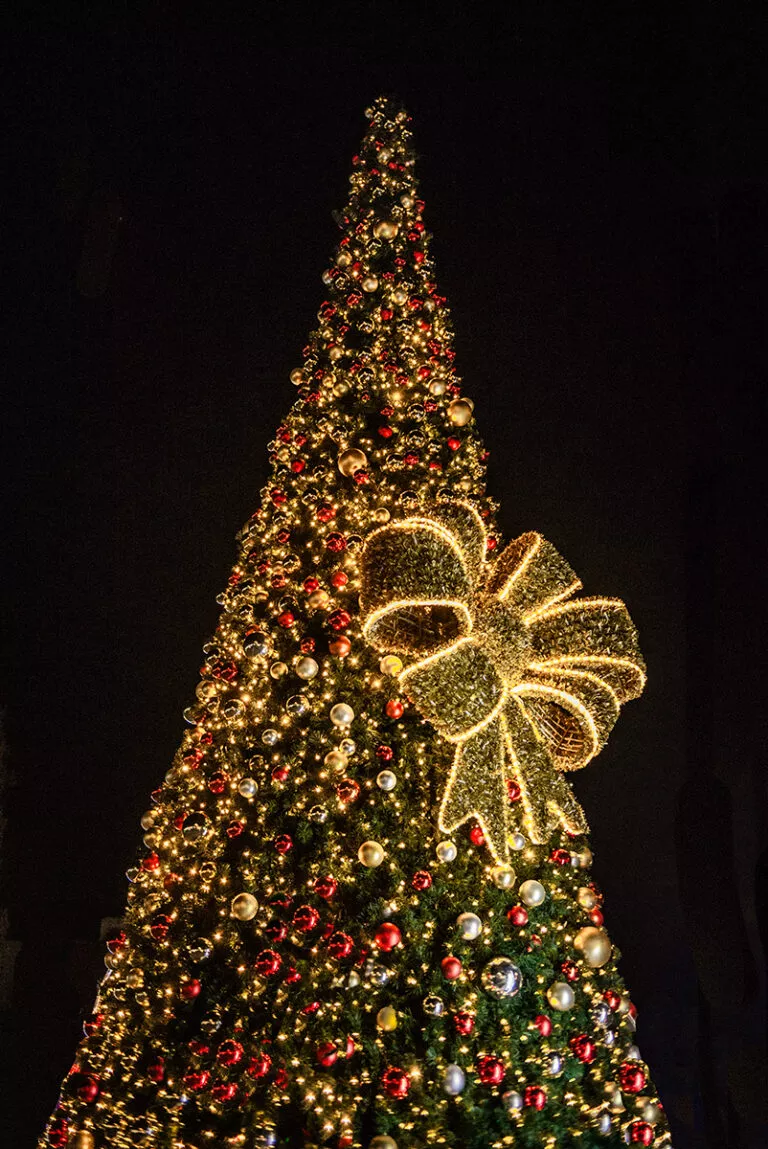 Kerstmarkt in Nederland