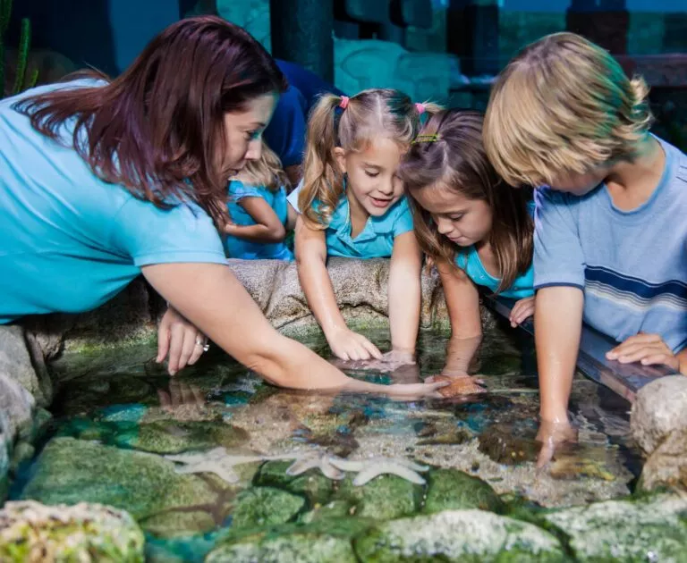 sea life
